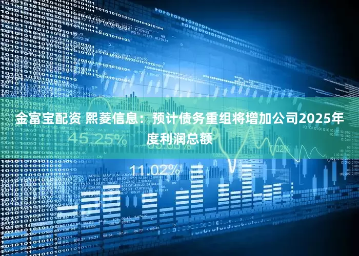 金富宝配资 熙菱信息：预计债务重组将增加公司2025年度利润总额