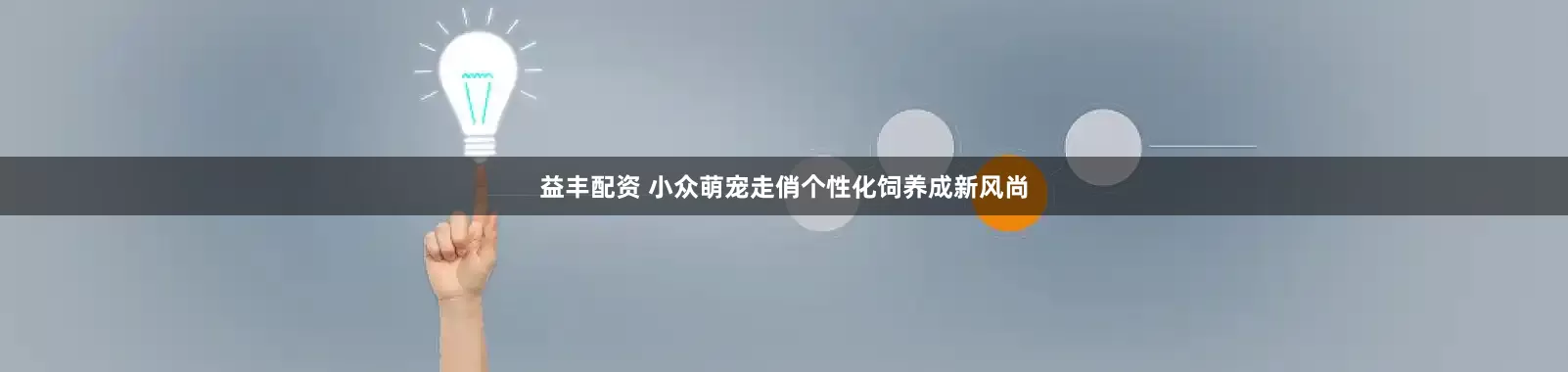 益丰配资 小众萌宠走俏个性化饲养成新风尚