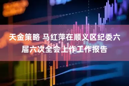 天金策略 马红萍在顺义区纪委六届六次全会上作工作报告